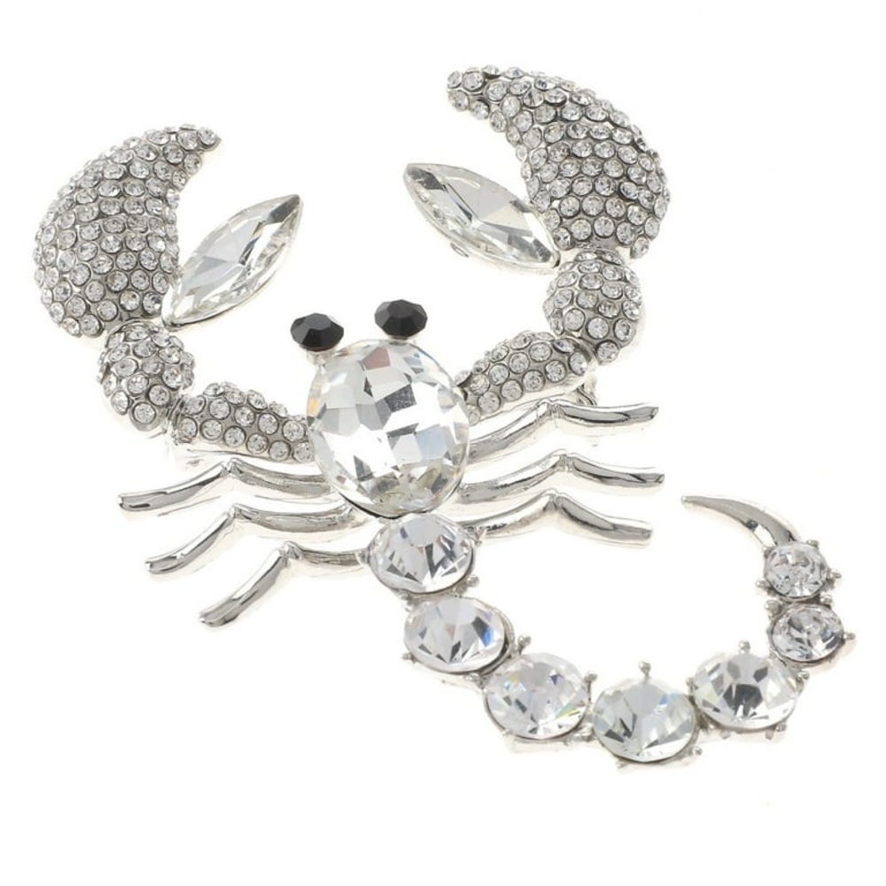 Silver Rhinestone Scorpion Brooch 💎 🦂